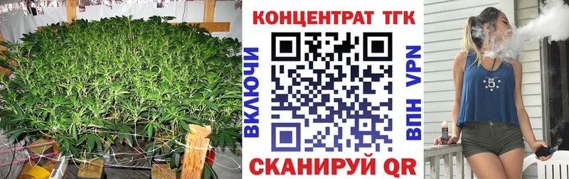 Купить закладки  Гороховец  Дистиллят ТГК гашишное масло 