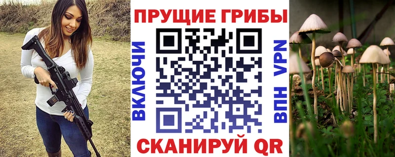 Купить где  Гороховец  Псилоцибиновые грибы Cubensis 
